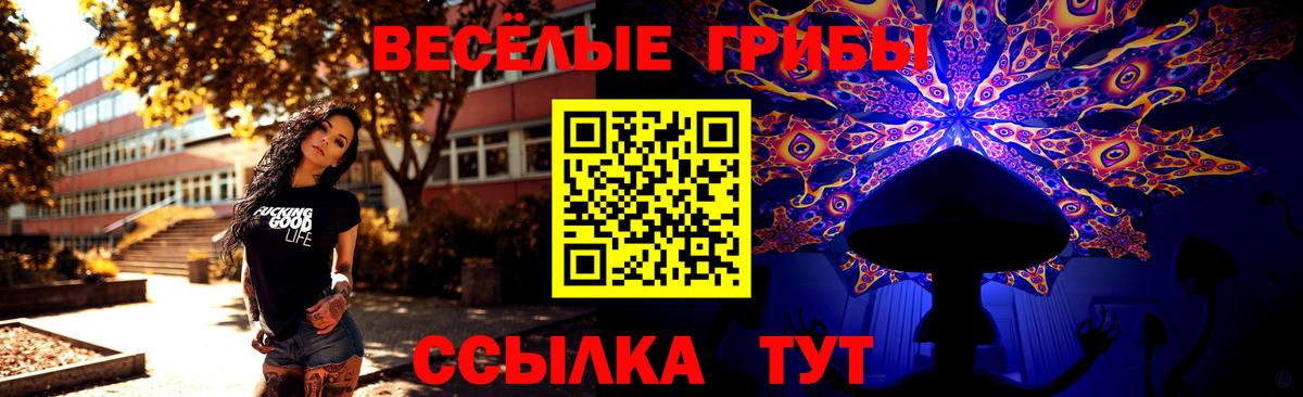 Галлюциногенные грибы мухоморы  Вход с VPN  Псилоцибиновые грибы Psilocybe  Благодарный 